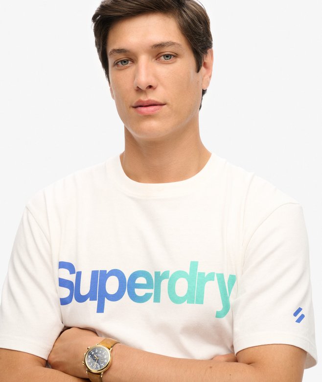 Superdry Core Logo Loose T-Shirt