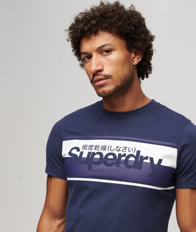 Superdry Core Logo Stripe T-Shirt