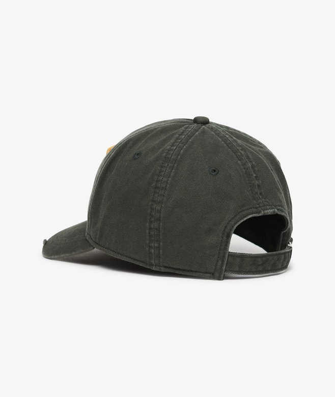 Superdry Graphic Trucker Cap