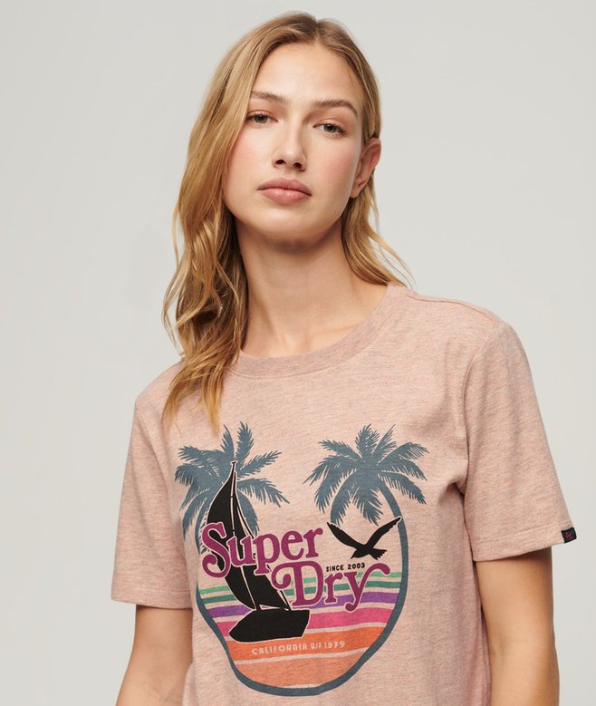 superdry Outdoor Stripe Relaxed T-Shirt
