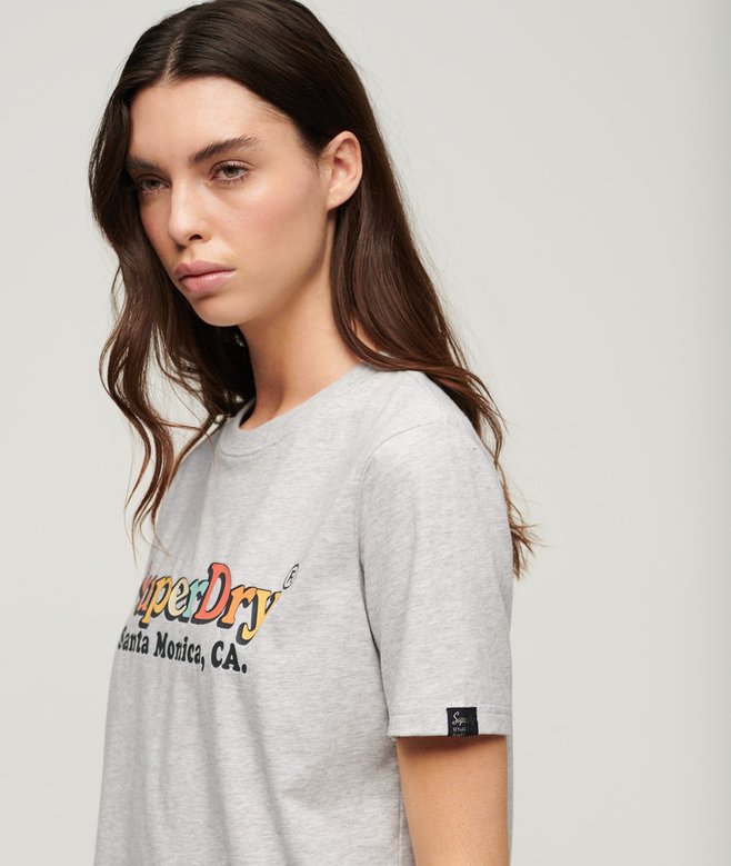 Superdry Rainbow Logo Relaxed Fit T-Shirt