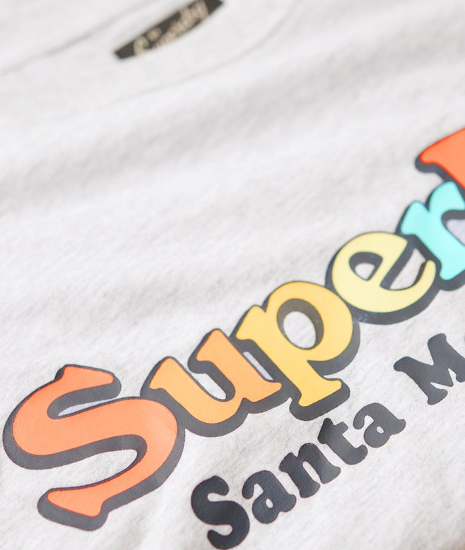 Superdry Rainbow Logo Relaxed Fit T-Shirt