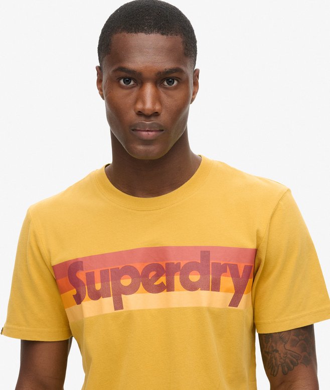 Superdry Retro Stripe Logo T-Shirt