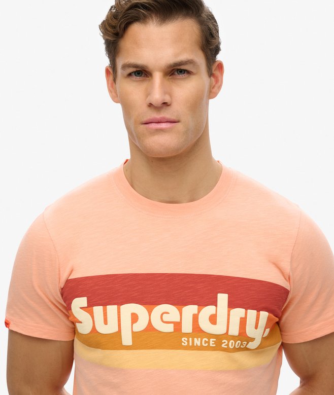 Superdry Terrain Logo Stripe Relaxed T-Shirt