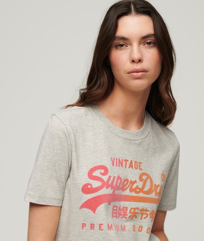 Superdry Tonal Graphic Relaxed T-Shirt