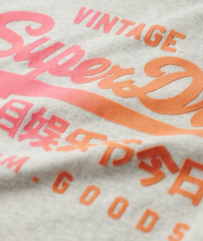Superdry Tonal Graphic Relaxed T-Shirt
