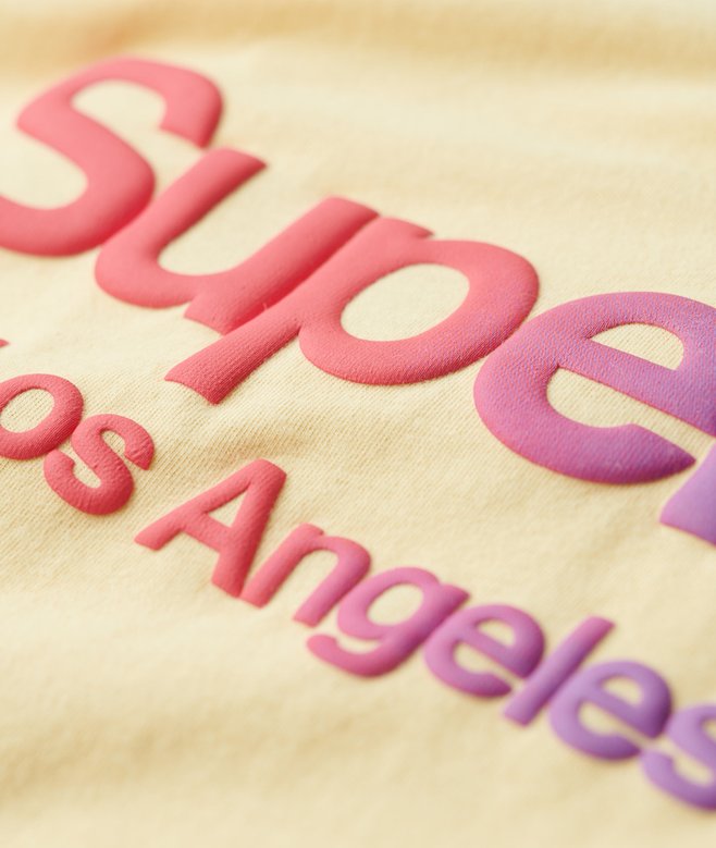 Superdry Tonal Rainbow Core T-Shirt