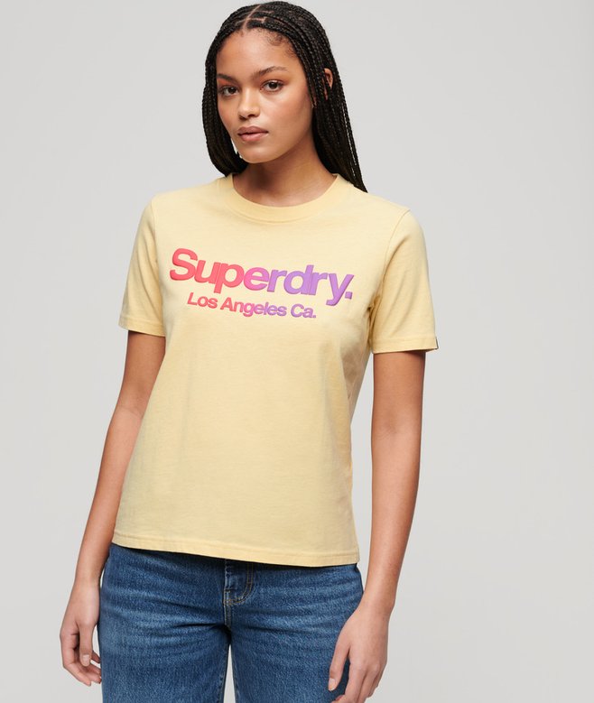 superdry Tonal Rainbow Core T-Shirt